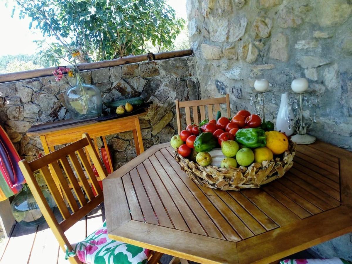 Casa Do Trapo