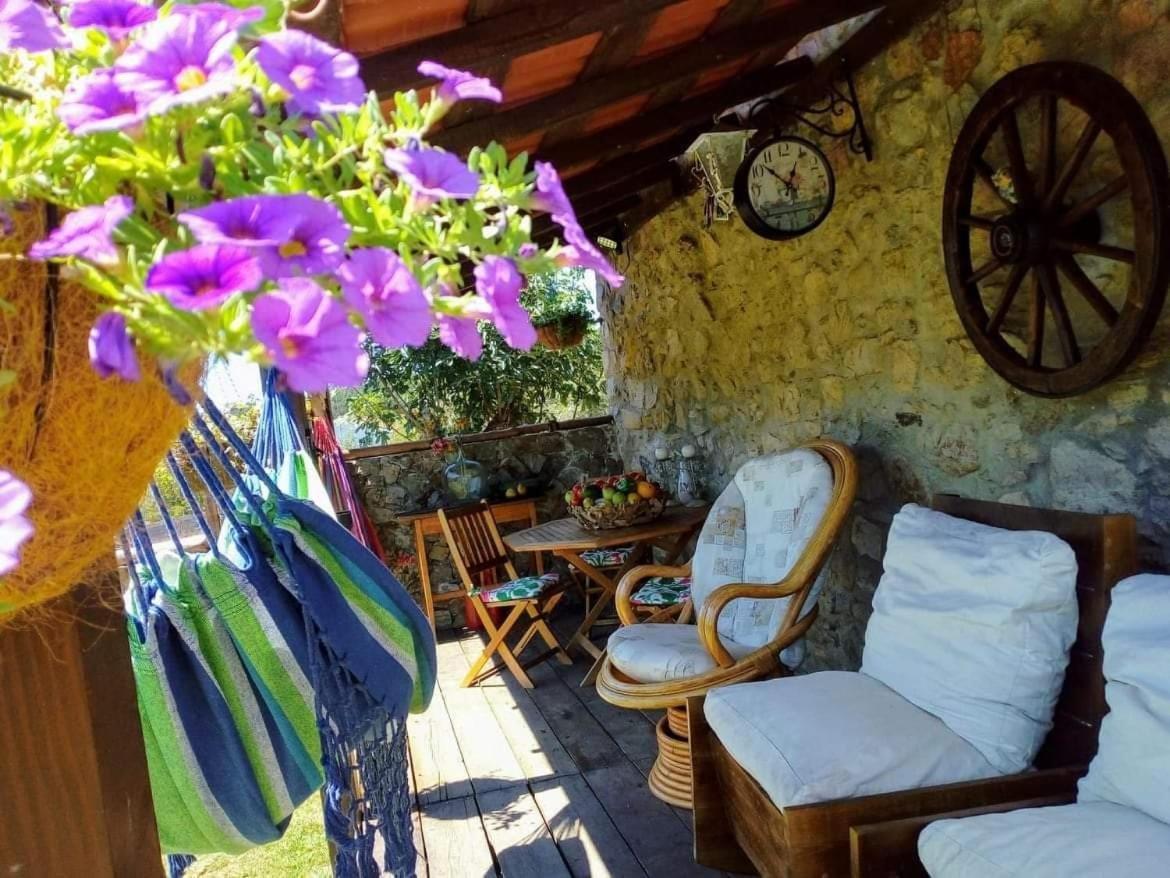 Guest house Casa Do Trapo *