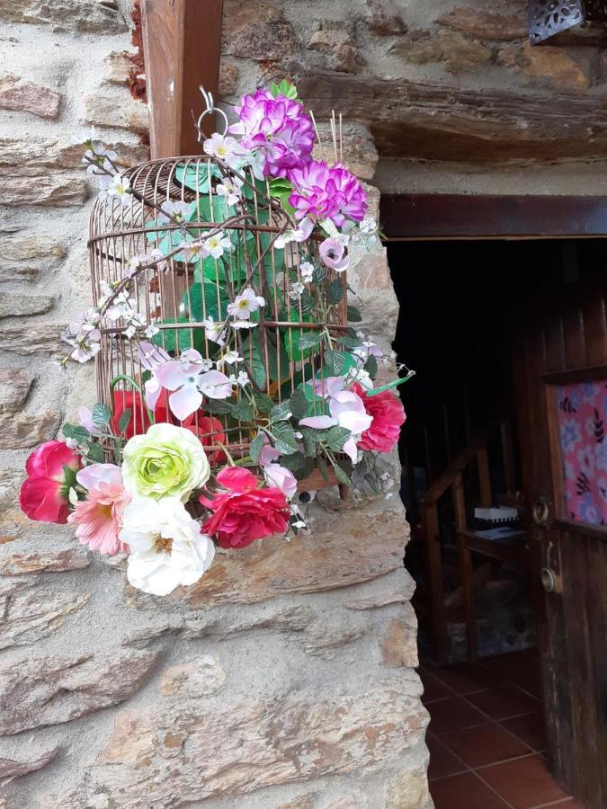 Casa Do Trapo Guest house